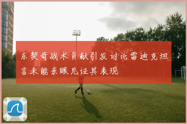 东契奇战术贡献引发讨论雷迪克坦言未能亲眼见证其表现