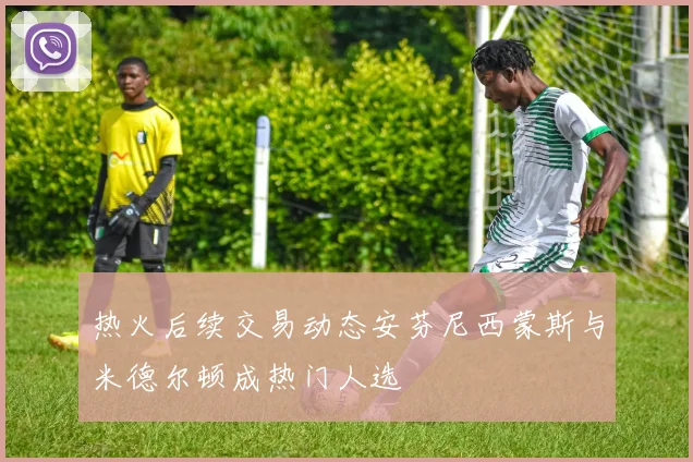 热火后续交易动态安芬尼西蒙斯与米德尔顿成热门人选
